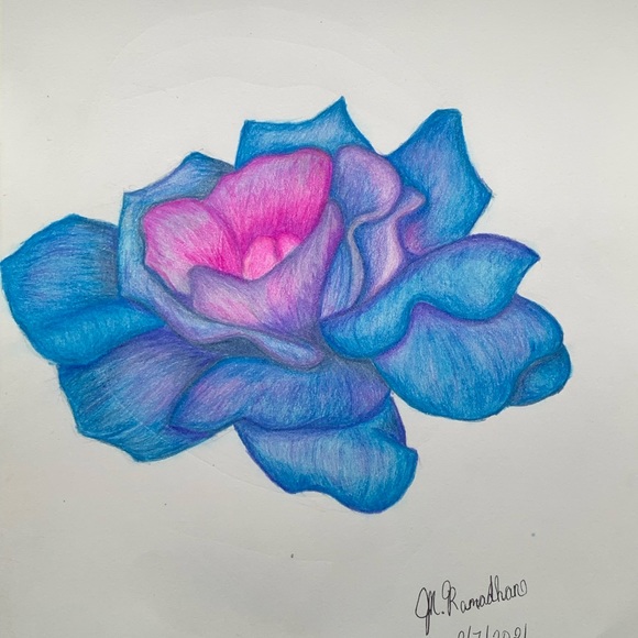 Multicolored Flower Pencil Drawing "Original" - Picture 2 of 3